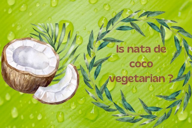 Is nata de coco vegetarian