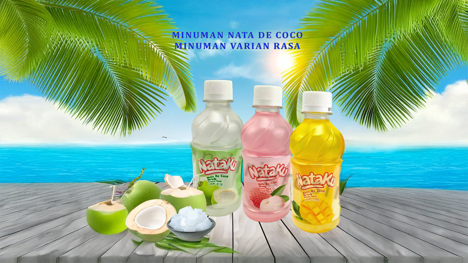 Nata de coco juice brands in indonesia (4)