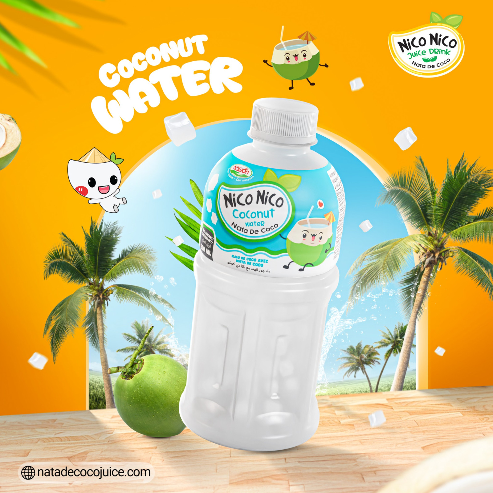 Bottled nata de coco juice (2)
