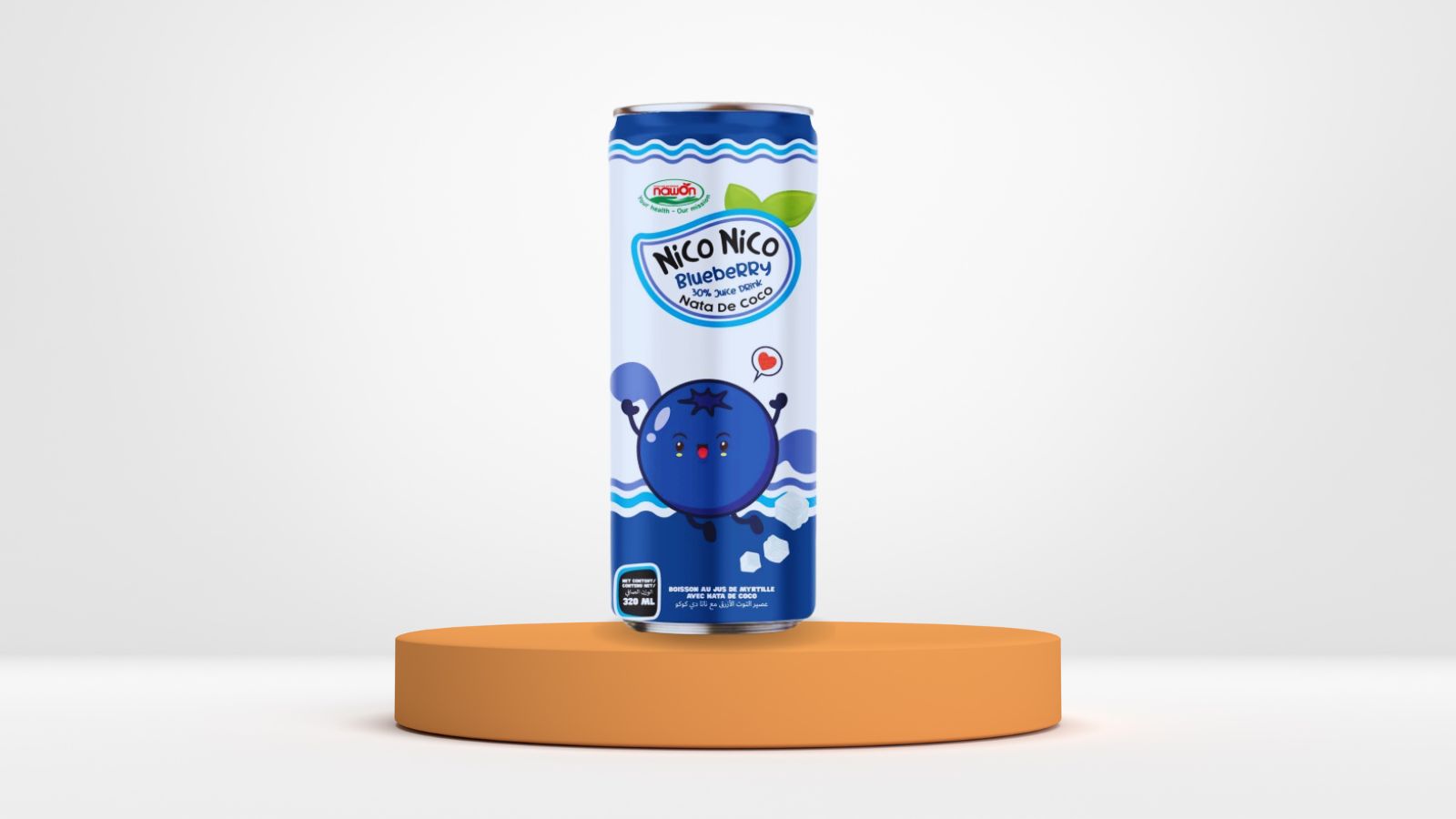 Canned nata de coco juice (2)