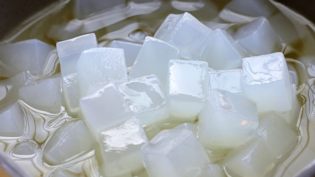 Was ist Coconut Jelly Boba (3)