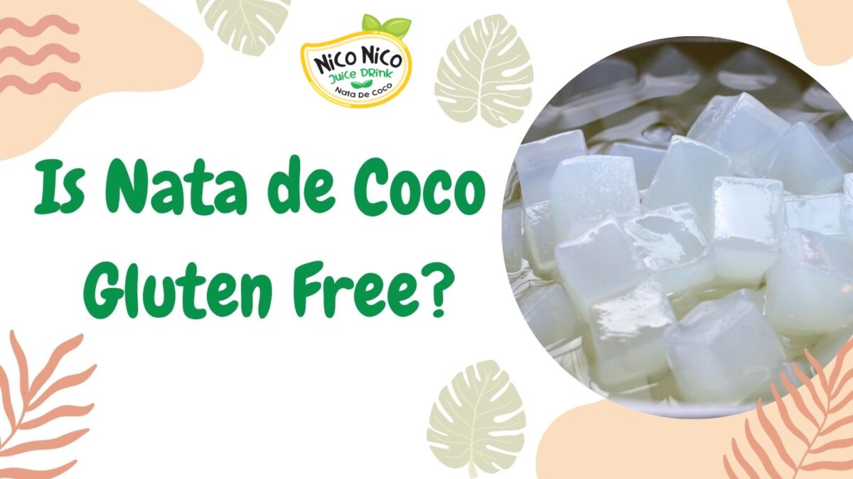 Nata de coco gluten free 